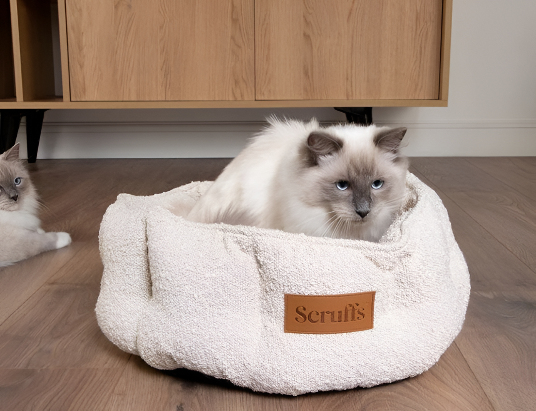 Choosing The Perfect Bed For Your Pet