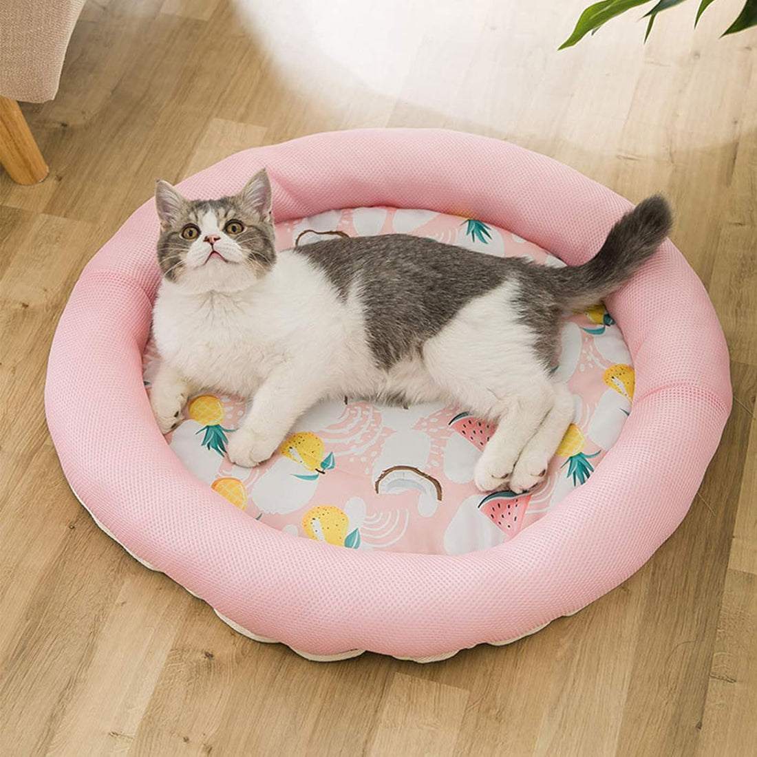 Cooling Summer Dog Bed Soft Breathable Round Pet Mat with Waterproof Non-Slip Cover