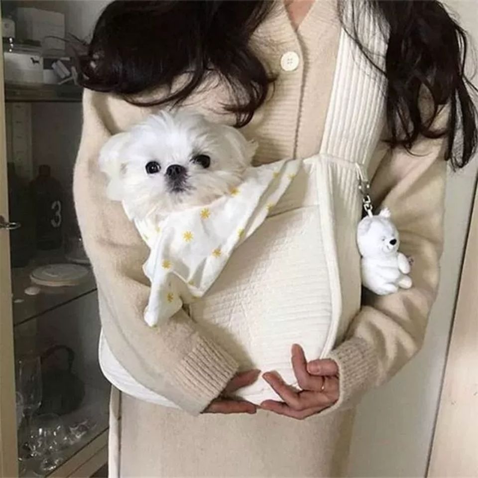 Handmade Canvas Pet Carrier Bag for Dogs and Cats