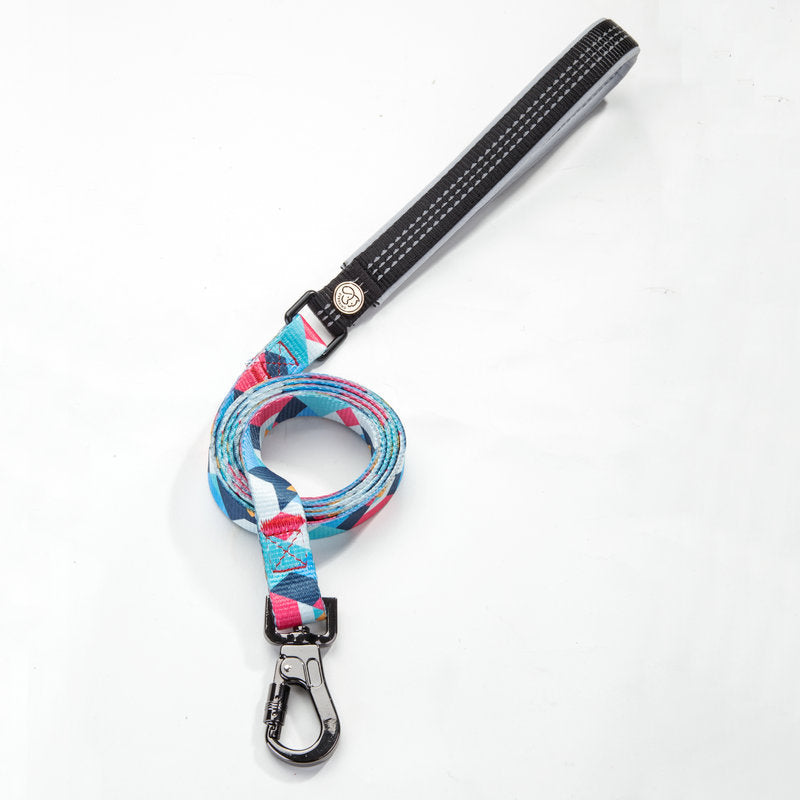 Dog Leash for Pets