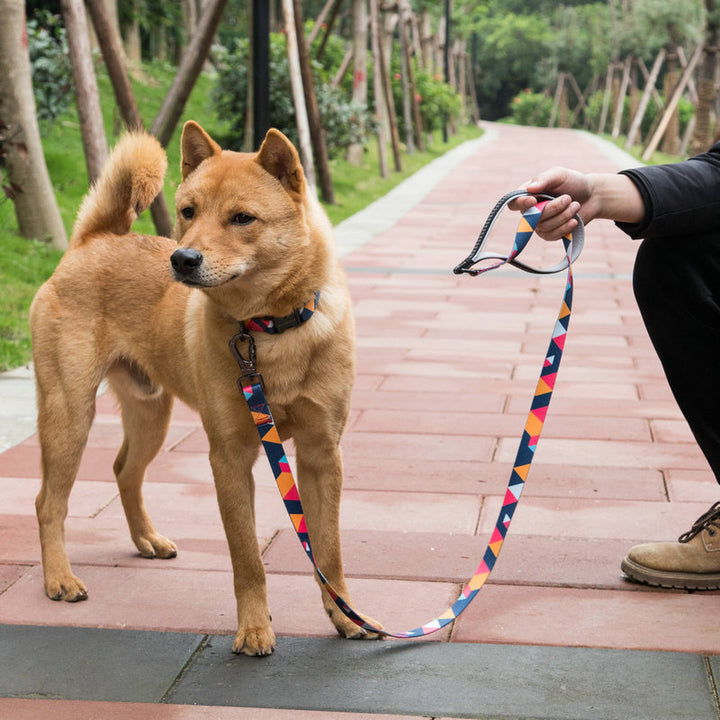 Dog Leash for Pets