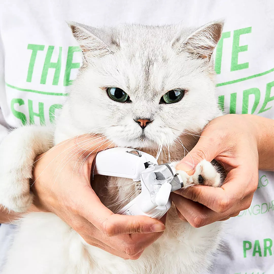 Professional Pet Nail Clipper Scissors with LED Light for Dogs and Cats