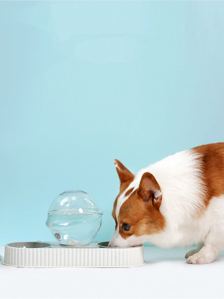 Automatic Pet Water and Food Bowl for Dogs and Cats