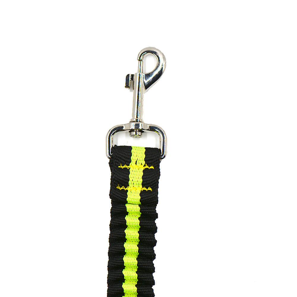 Adjustable Double-Head Nylon Dog Leash One-to-Two