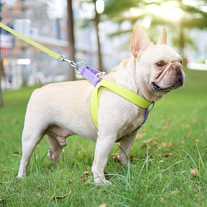 Rainbow Colorblock Anti-Escape Dog Harness with Leash Set