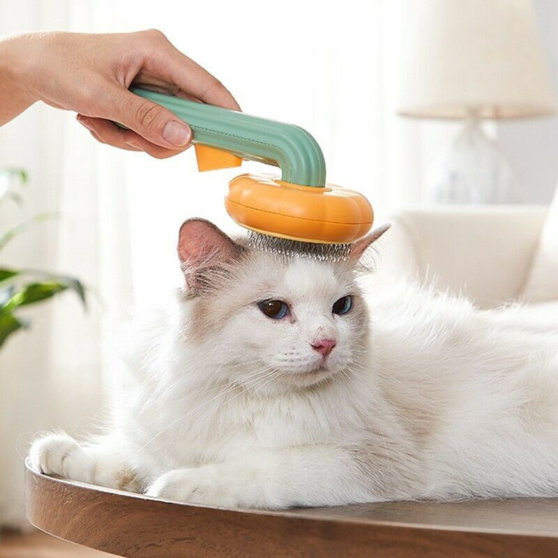 Self-Cleaning Pumpkin Slicker Brush for Dogs, Cats, and Rabbits