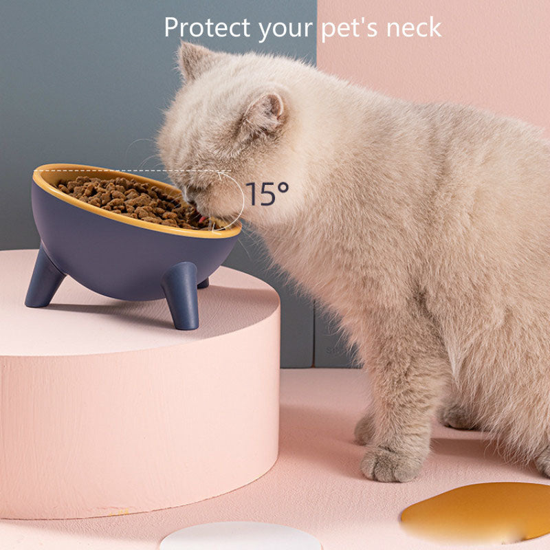 Cat and Dog Feeding Bowl with Stand Nordic-Style Feeder