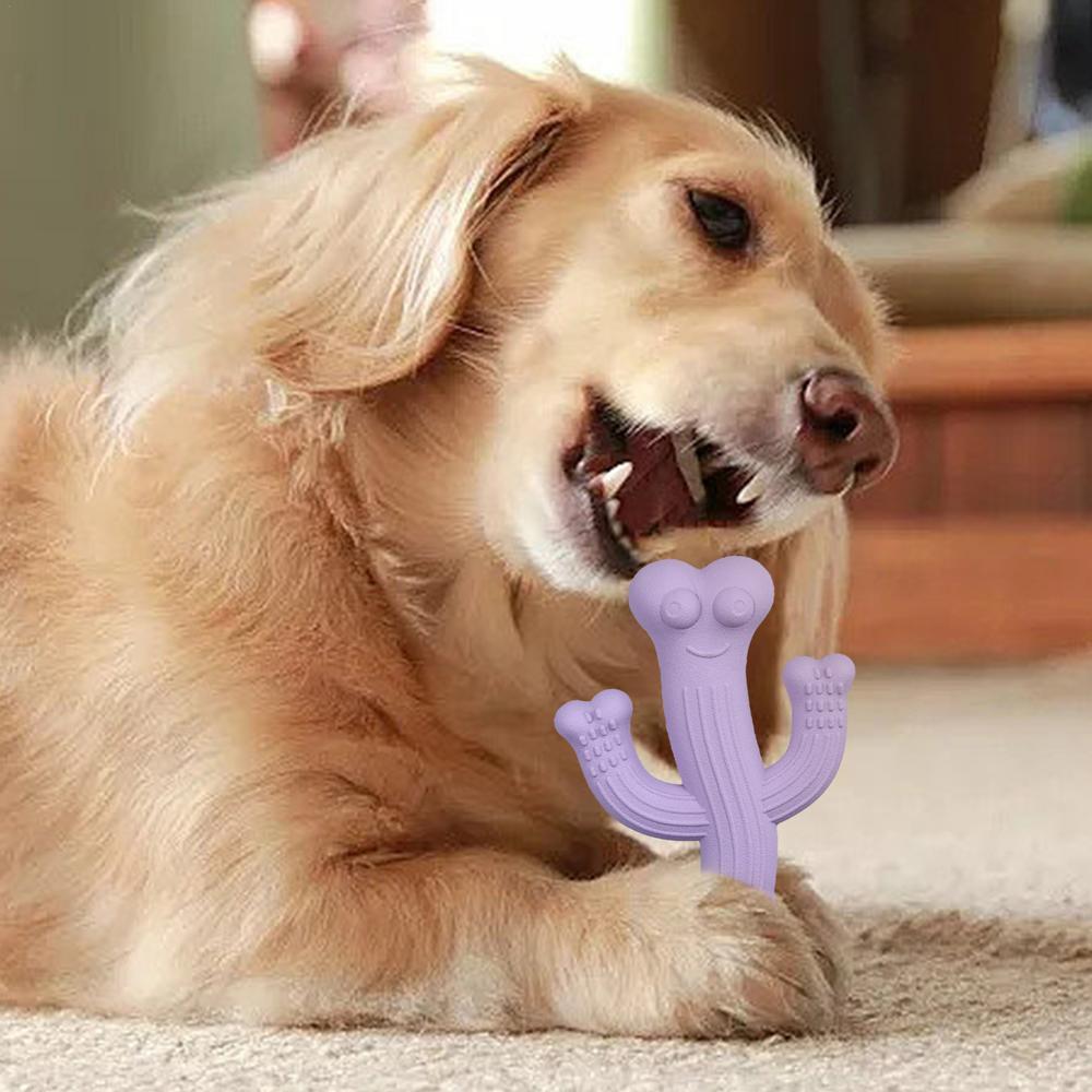 Cactus Chew Toy Durable Interactive Dog Toy for Puppies