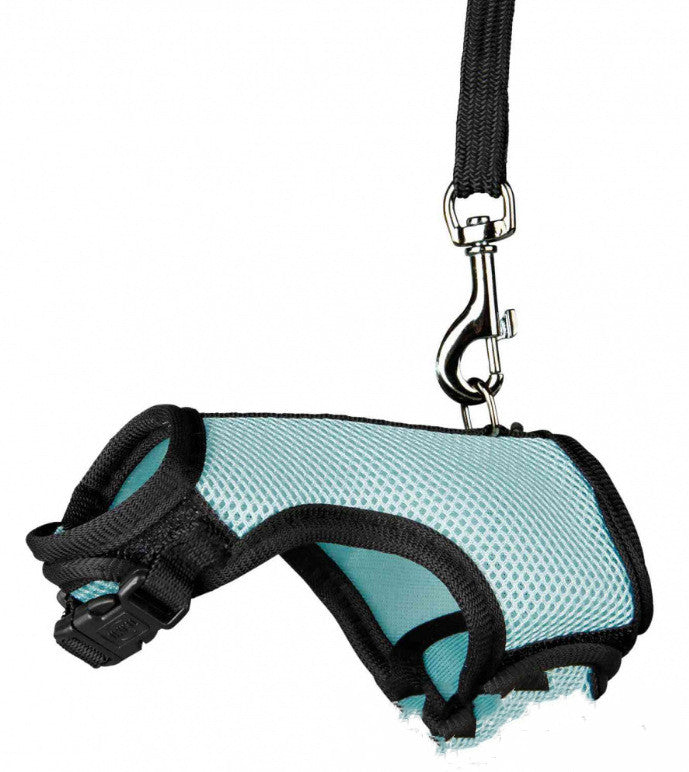 Small Pet Leash