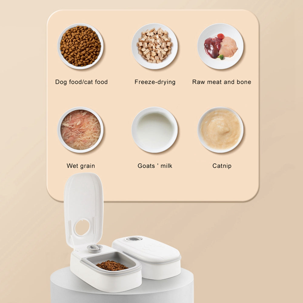 Automatic Smart Pet Feeder with Timer and Stainless Steel Bowl for Cats and Dogs