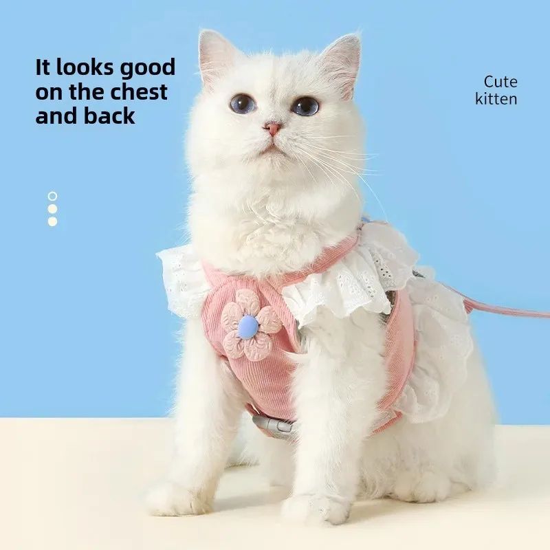 Summer Pet Harness and Leash with Back Strap for Dogs and Cats