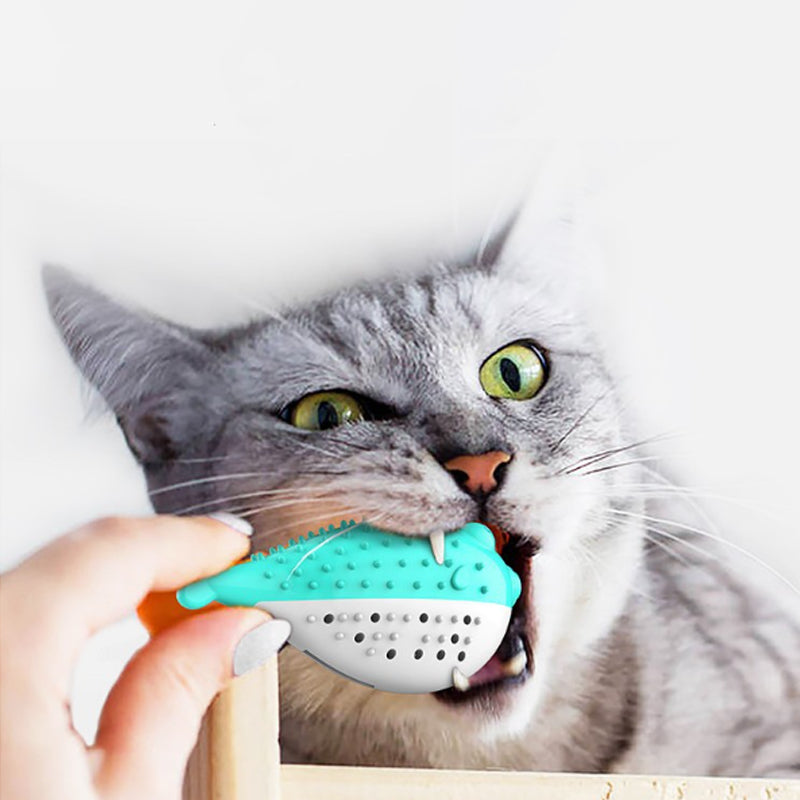 Mint Cat Chew and Teaser Toy Silicone Fish for Kittens
