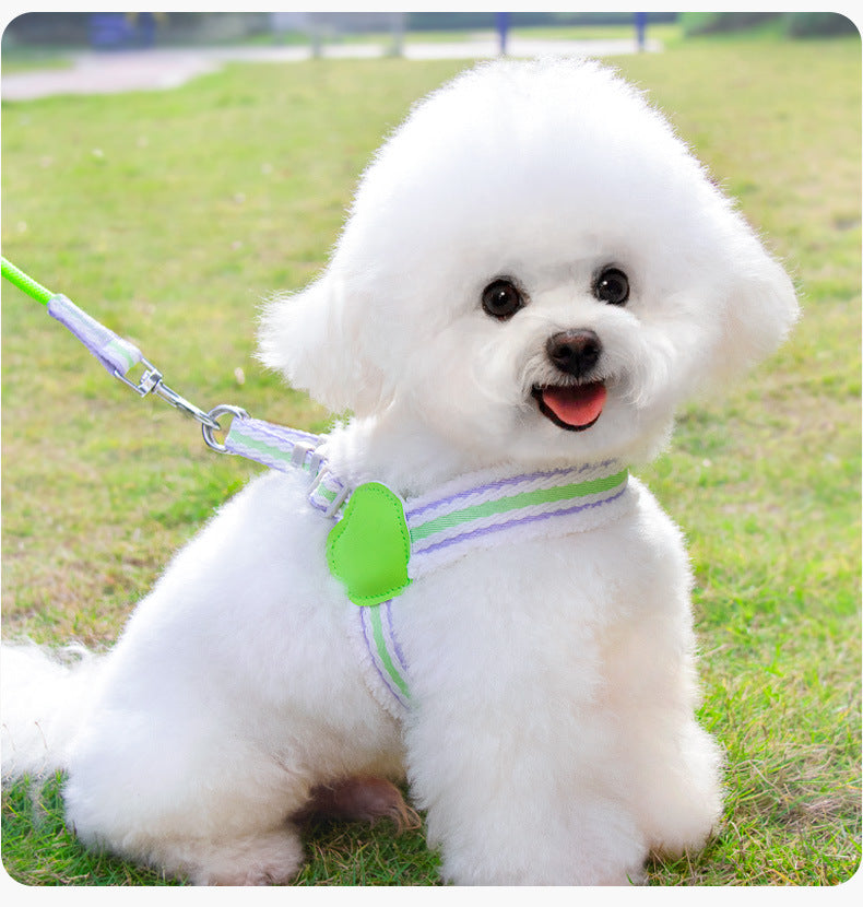 Breathable Summer Dog Harness and Leash for Small to Medium Dogs