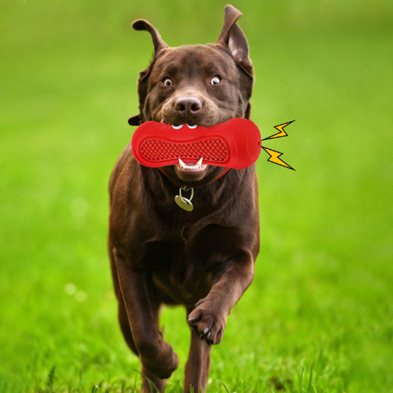 Vocal Rugby Natural Rubber Teething Dog Toy
