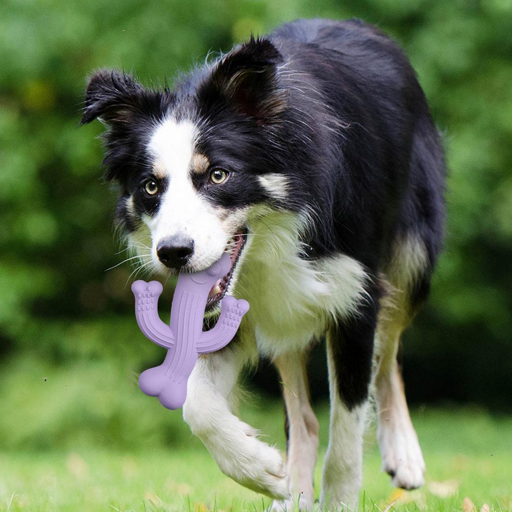 Cactus Chew Toy Durable Interactive Dog Toy for Puppies