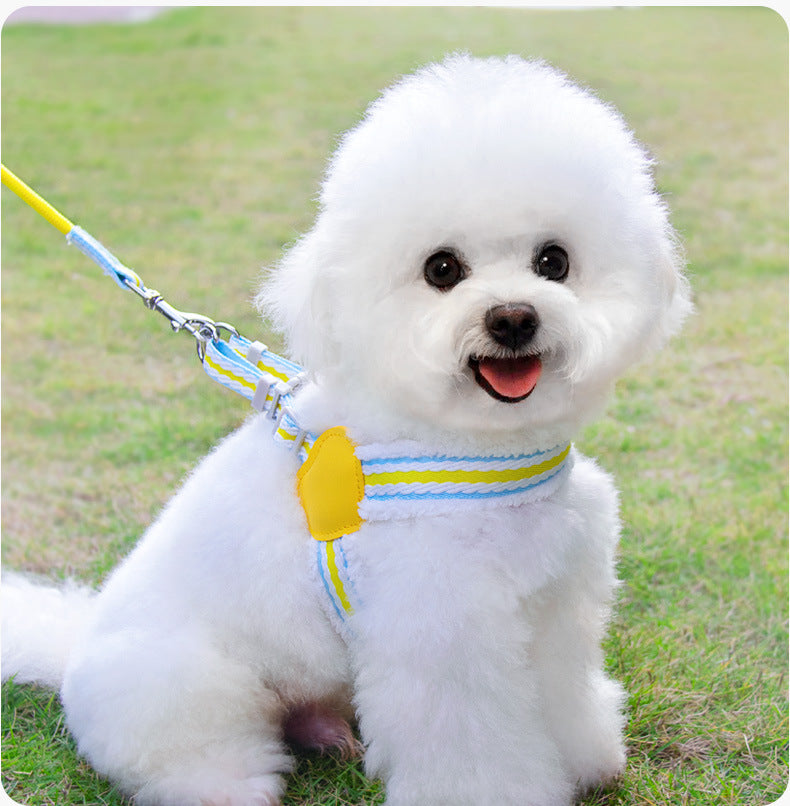 Breathable Summer Dog Harness and Leash for Small to Medium Dogs
