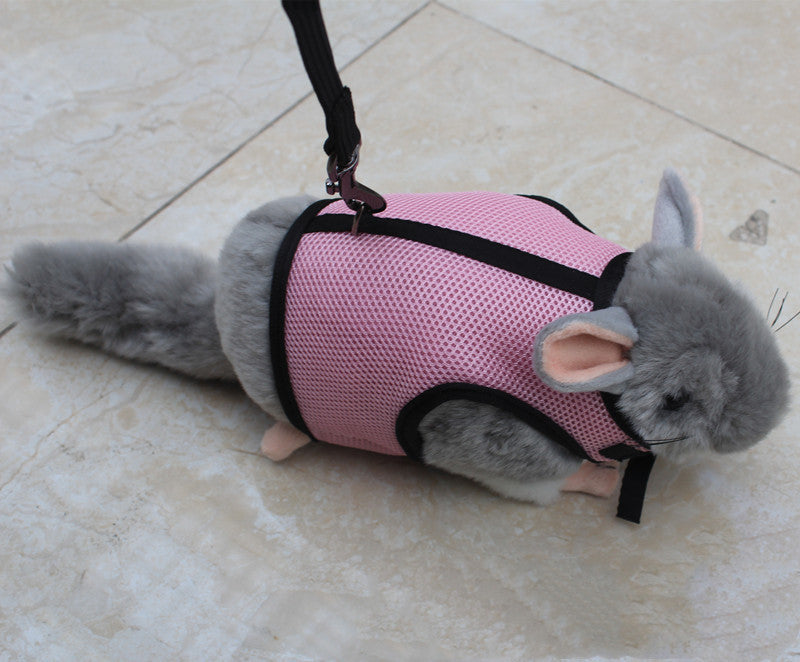 Small Pet Leash