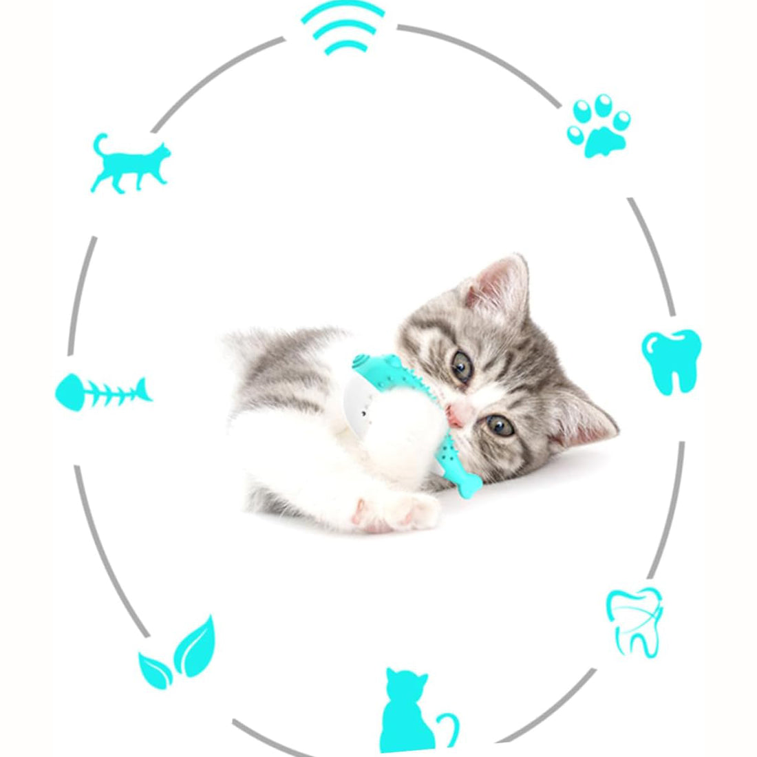 Mint Cat Chew and Teaser Toy Silicone Fish for Kittens