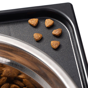 Elevated Anti-Tip Dog Feeding Bowl with Neck Protection for Medium and Large Dogs