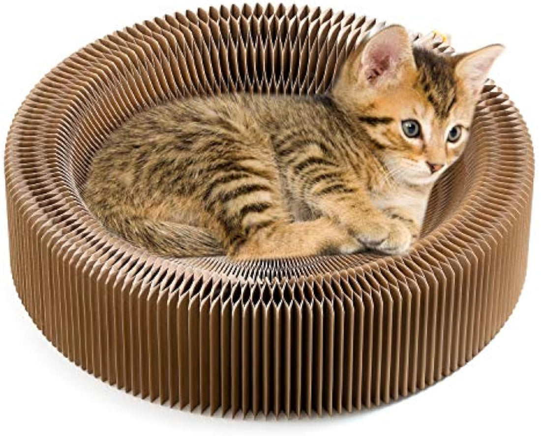 Collapsible Round Cardboard Cat Scratcher Lounge Bed for Large Cats