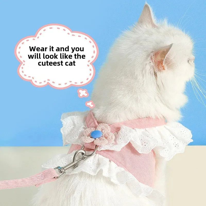 Summer Pet Harness and Leash with Back Strap for Dogs and Cats