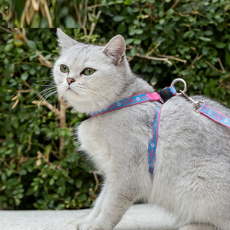 Pet Cat and Small Dog Harness with Bell and Chest Strap
