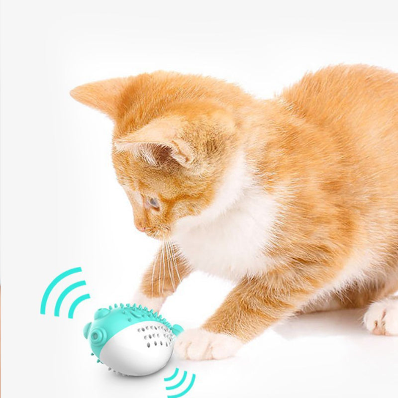 Mint Cat Chew and Teaser Toy Silicone Fish for Kittens