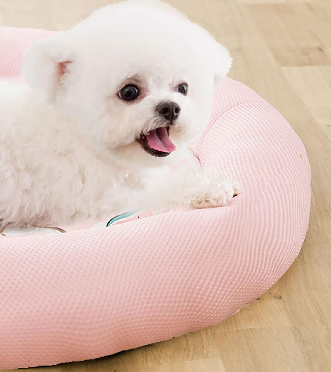 Cooling Summer Dog Bed Soft Breathable Round Pet Mat with Waterproof Non-Slip Cover