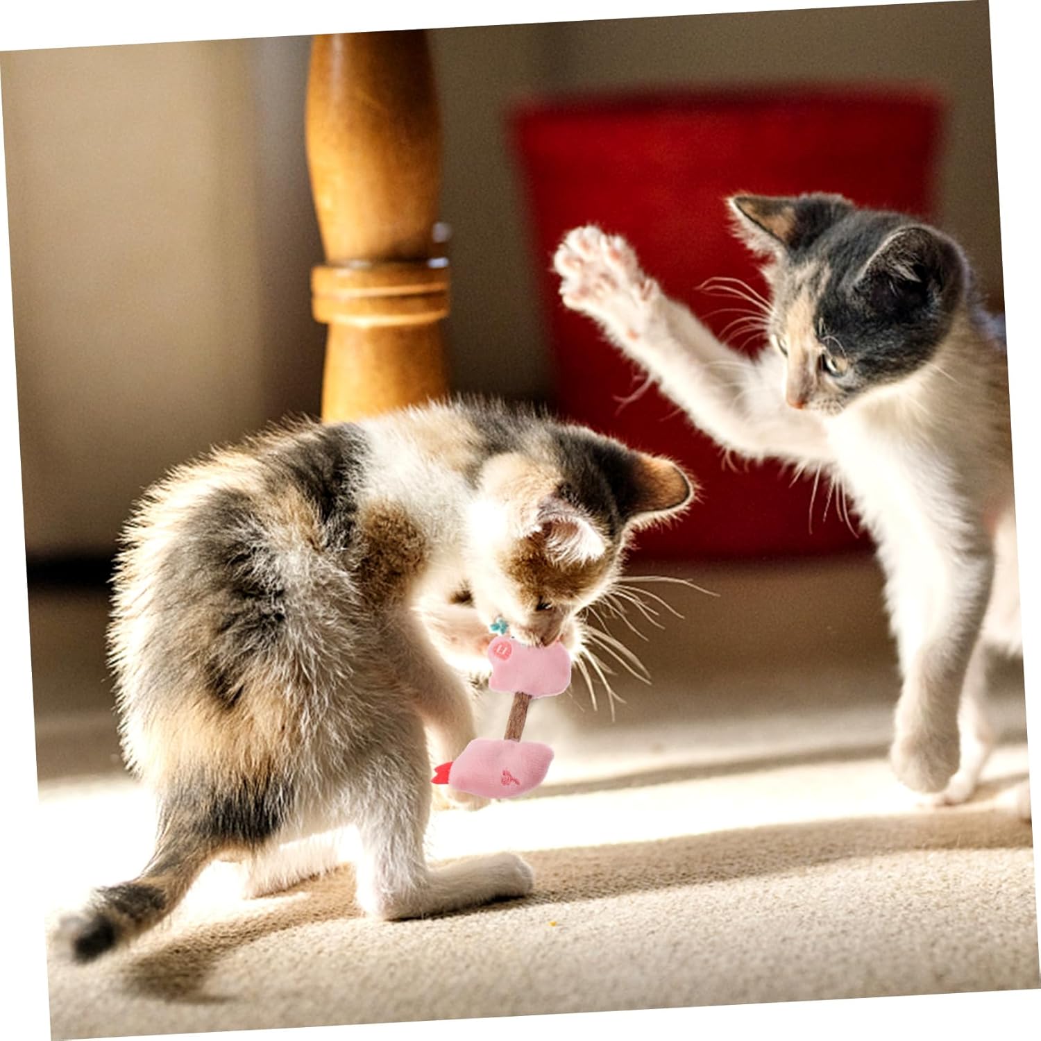 Silvervine Cat Chew Sticks Teeth Cleaning Toy for Kittens