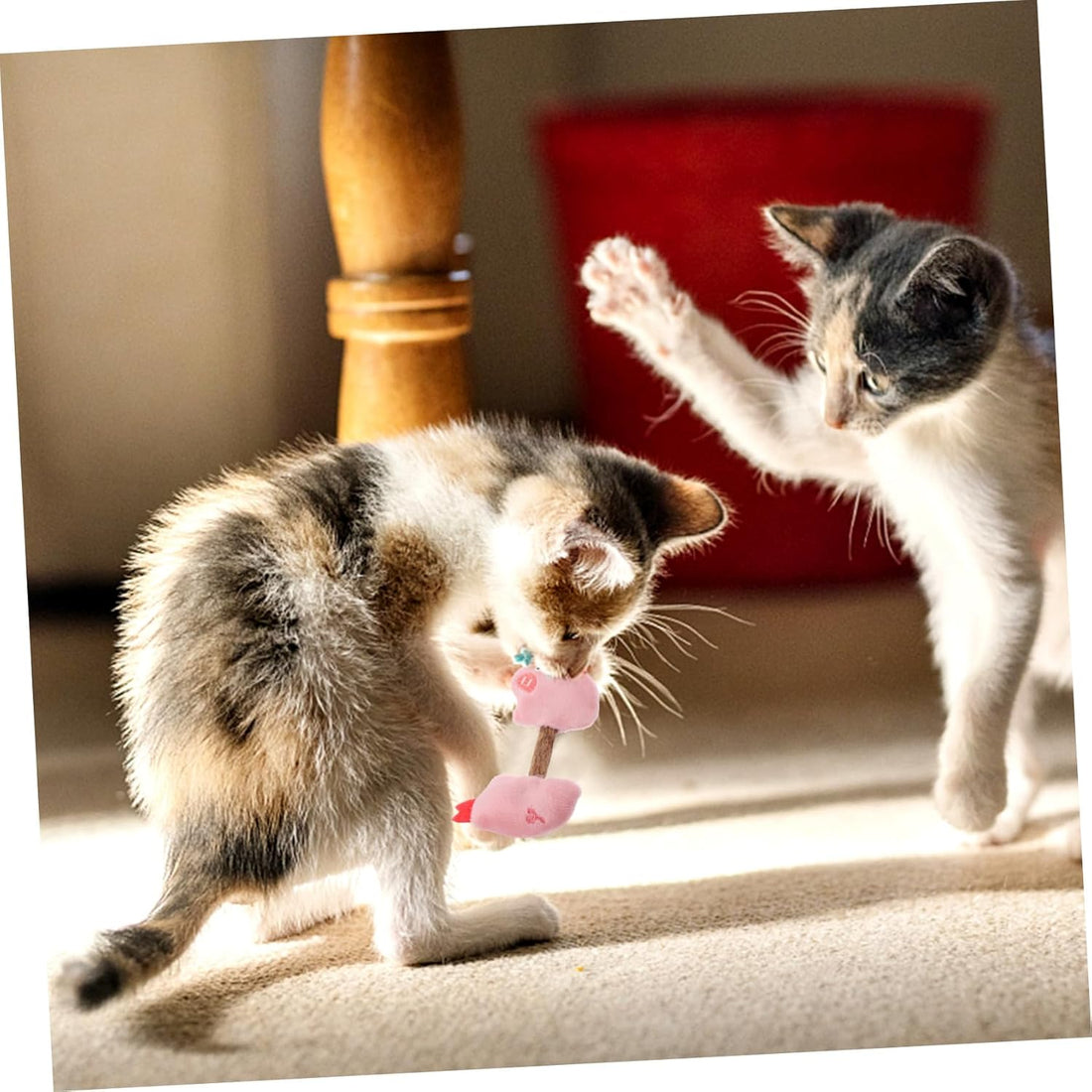 Silvervine Cat Chew Sticks Teeth Cleaning Toy for Kittens