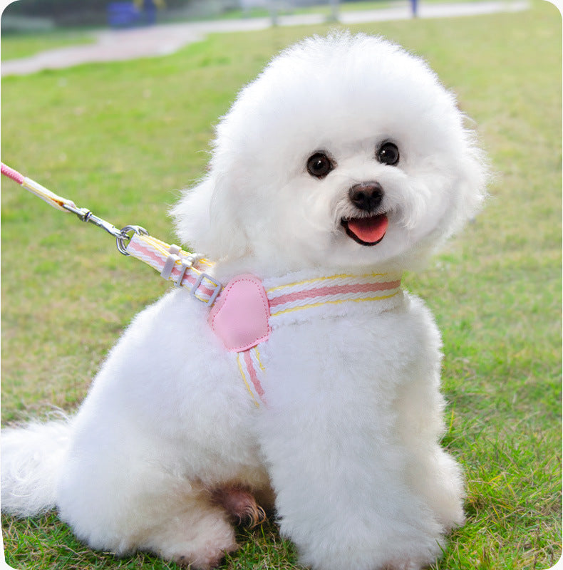 Breathable Summer Dog Harness and Leash for Small to Medium Dogs
