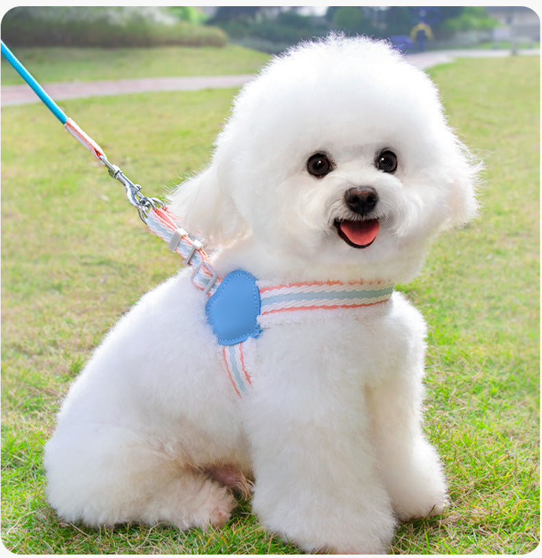 Breathable Summer Dog Harness and Leash for Small to Medium Dogs