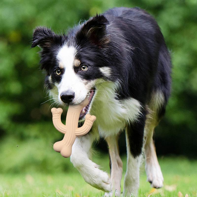 Cactus Chew Toy Durable Interactive Dog Toy for Puppies