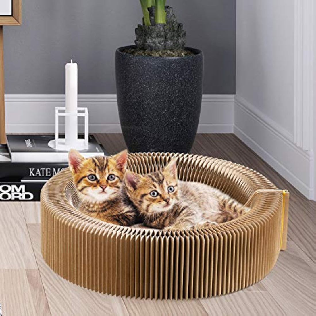 Collapsible Round Cardboard Cat Scratcher Lounge Bed for Large Cats