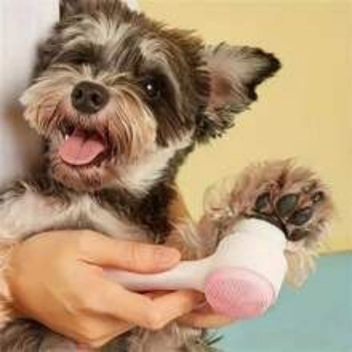 Easy Clean Nylon Pet Paw Brush for Dogs and Cats