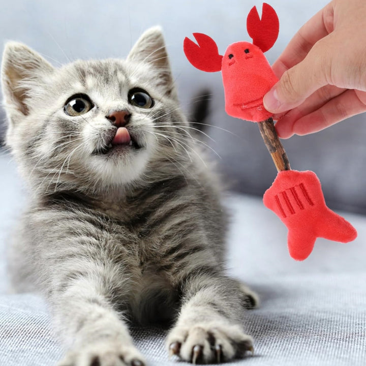 Silvervine Cat Chew Sticks Teeth Cleaning Toy for Kittens