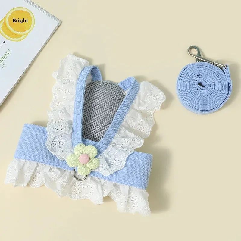 Summer Pet Harness and Leash with Back Strap for Dogs and Cats