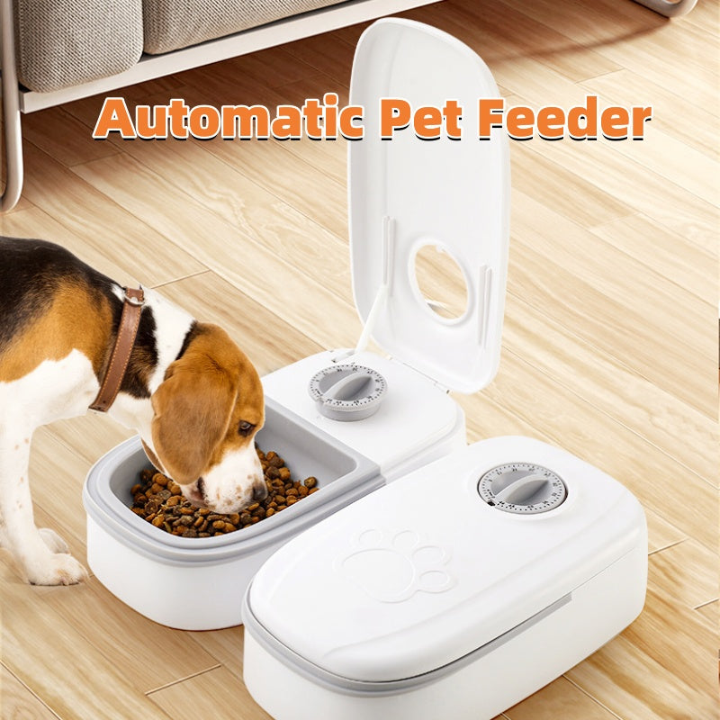 Automatic Smart Pet Feeder with Timer and Stainless Steel Bowl for Cats and Dogs