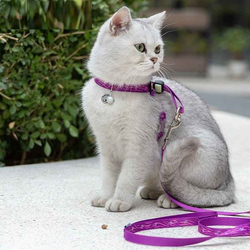 Pet Cat and Small Dog Harness with Bell and Chest Strap