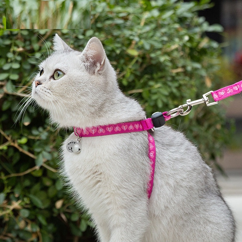 Pet Cat and Small Dog Harness with Bell and Chest Strap
